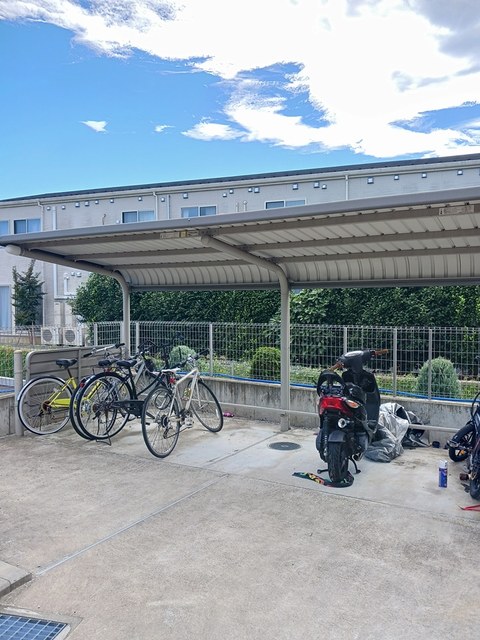 秋桜（コスモス） その他7