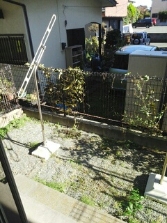 ネスト・ワン その他8