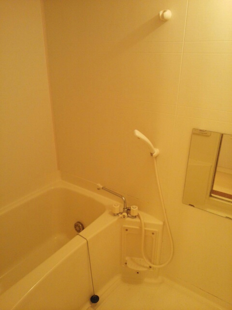 ネスト・ワン 風呂画像