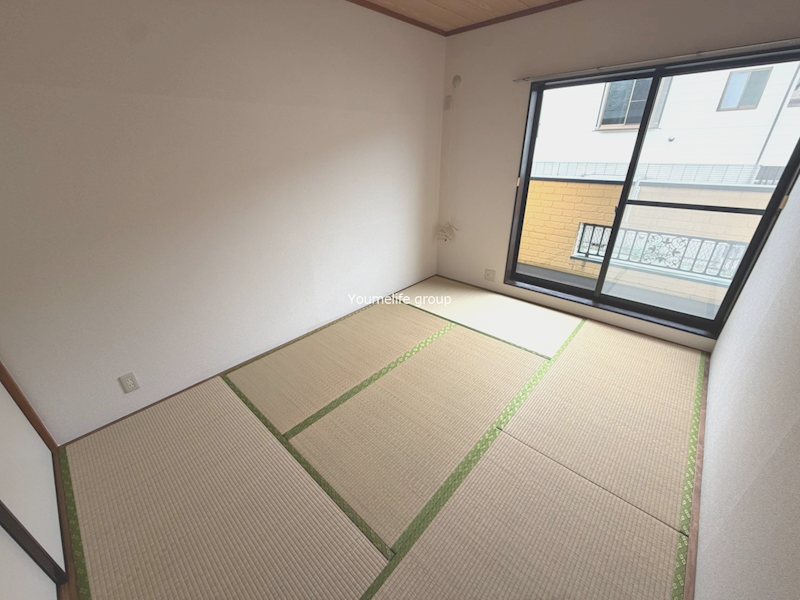 アショカニー・ペペロミア その他部屋・スペース