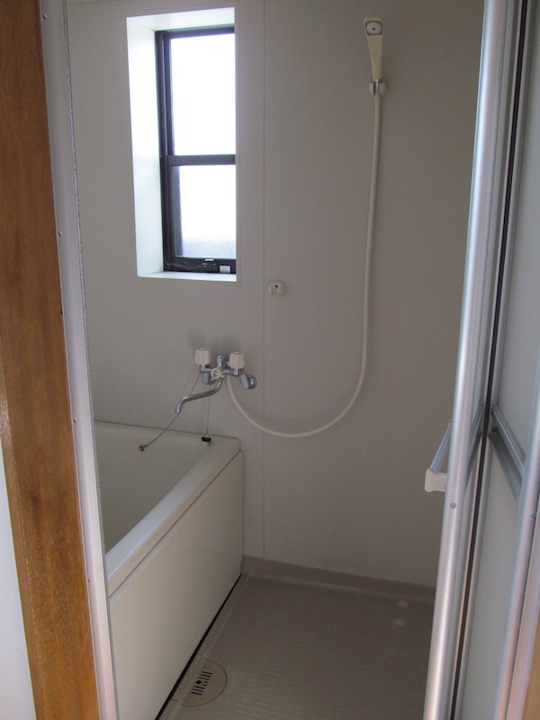 アショカニー・ペペロミア 風呂画像