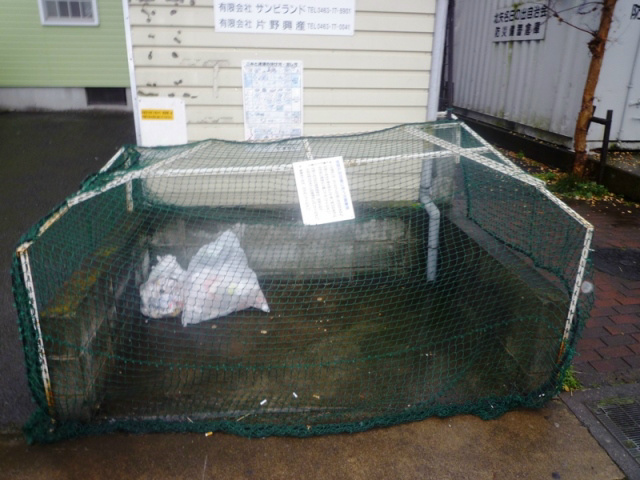 カーサヴェルデＡＢ その他1