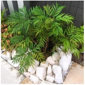 エレーヴ その他外観1