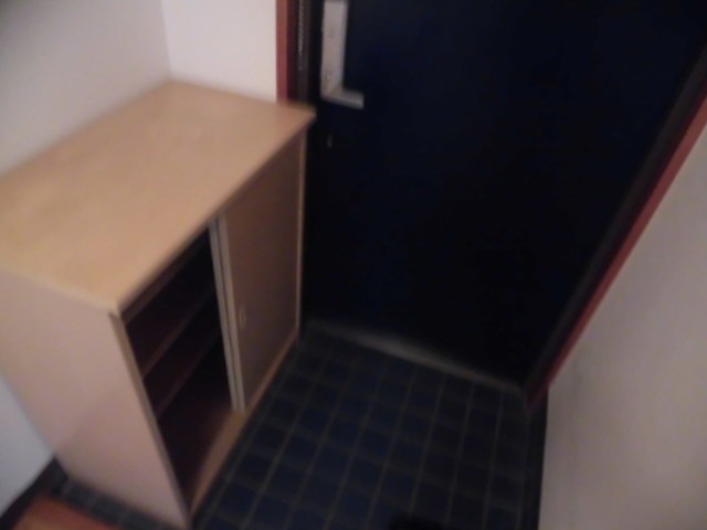 オオフナライブフラット 玄関