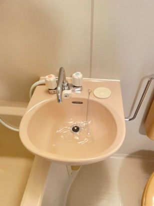 アショカニーローズ館 その他2