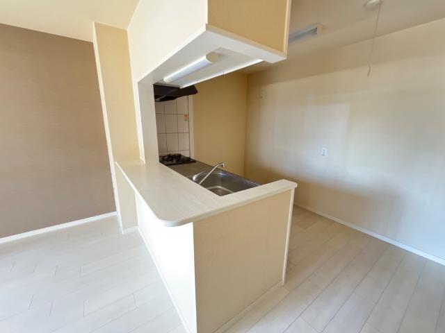 グレートミラージュ その他13