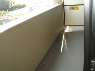 ＴＨ・ルミナス その他17