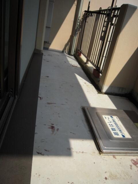 レックス本郷台グレシアスコート ベランダ