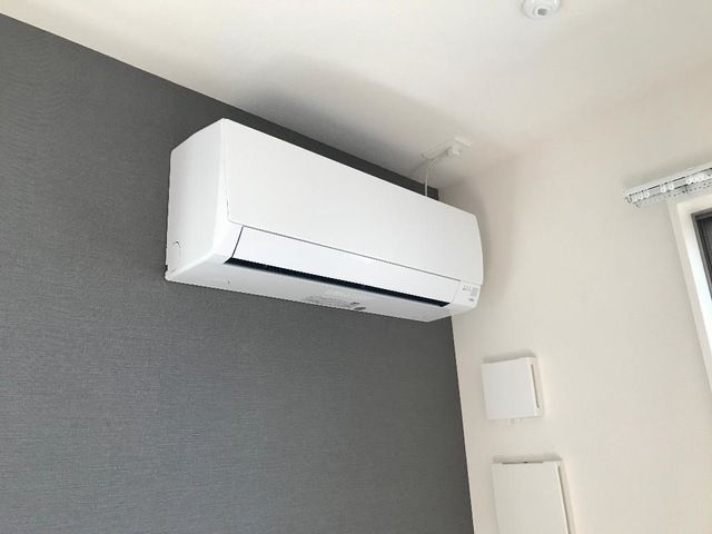 Ｐｌｕｍｅｒｉａ（プルメリア） その他1