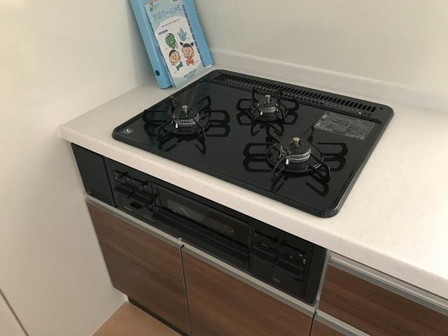 Ｐｌｕｍｅｒｉａ（プルメリア） その他5