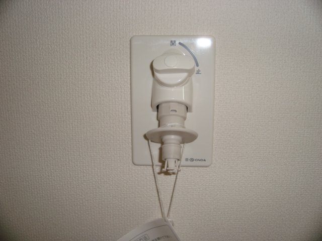 ブリリアント・ベリー その他16