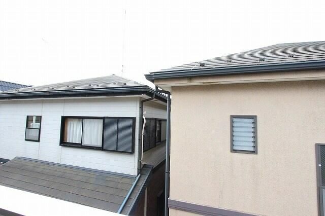 スイートピー その他6