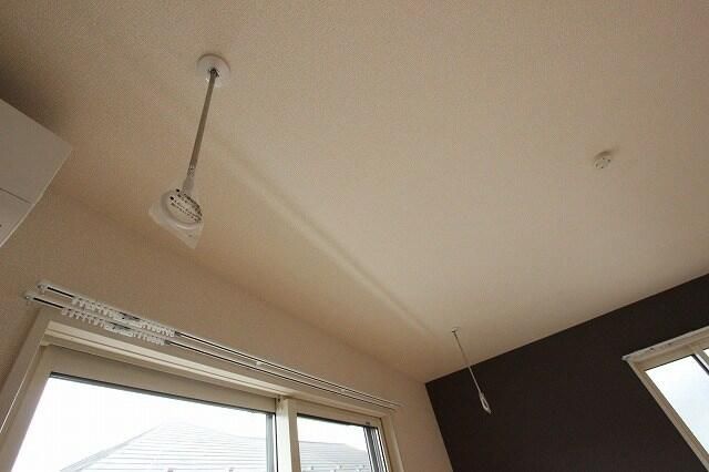 スイートピー その他8