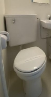 チェリー その他3