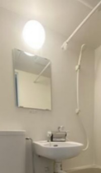 チェリー その他4