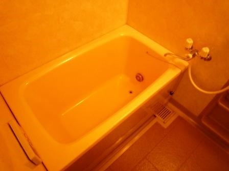 アネーロ上粕屋 風呂画像