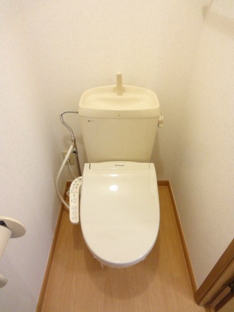 ミニヨンＡＮ その他4