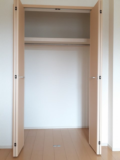 プラシード その他2