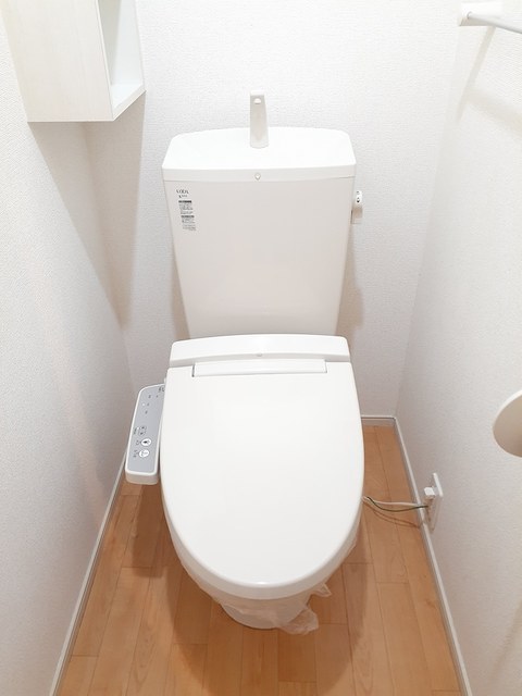 プラシード その他4