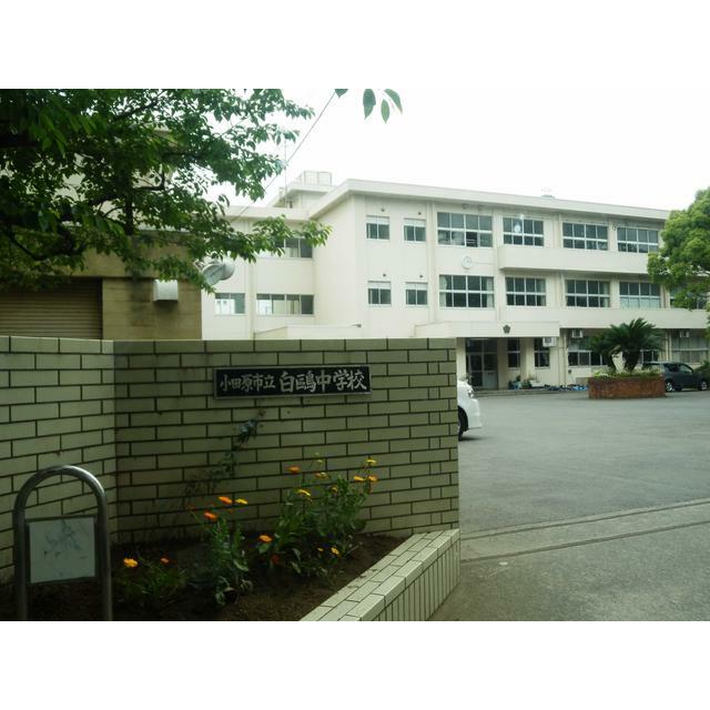 ハイツ中町 周辺画像5