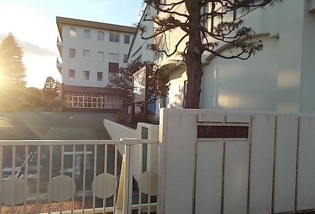 プラシード その他外観6