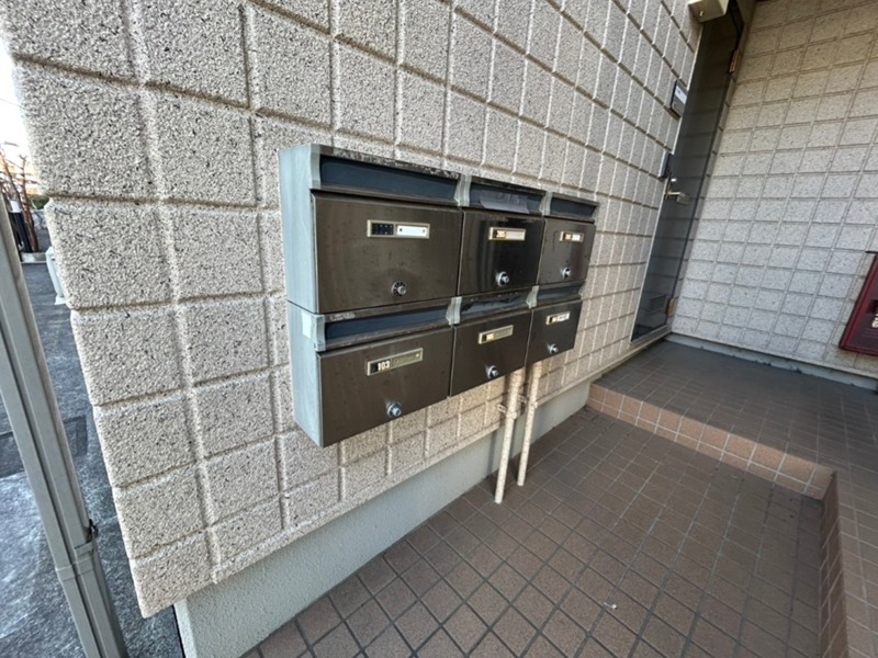 プリュニエラバン その他1