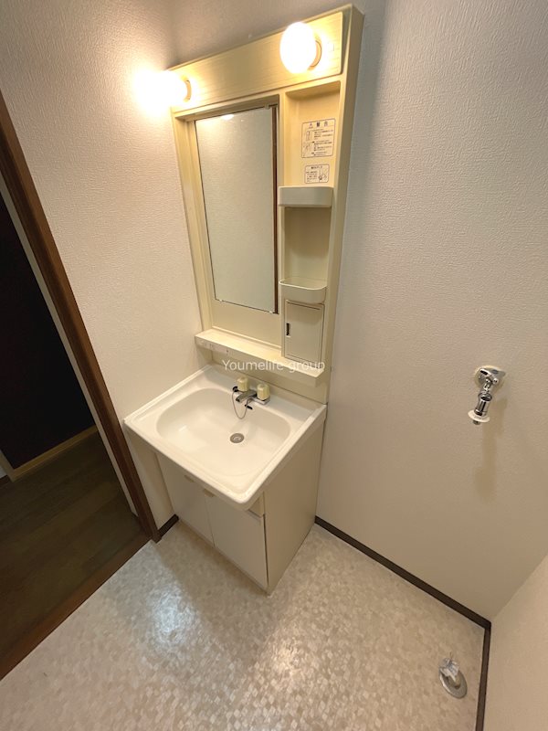 ディアコート 洗面所