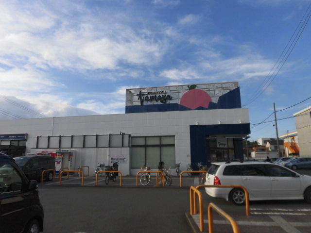 茅ヶ崎市柳島1丁目戸建 周辺画像2