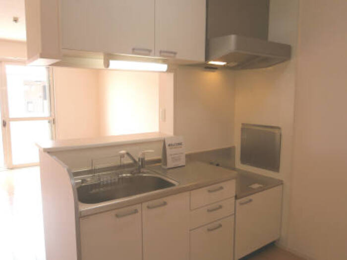 ｓｏｕｔｈ ｗｉｎｄ キッチン