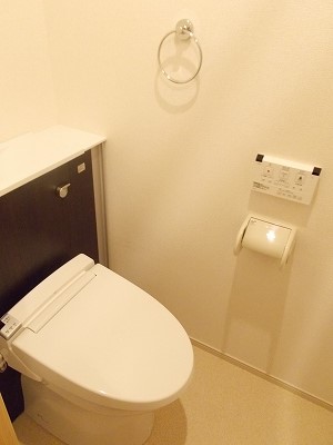 ヴィシュランティ その他4