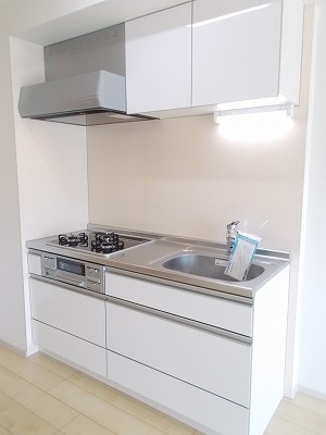 ヴィシュランティ キッチン