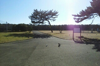 ショワ湘南 その他外観1