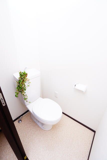 クオリティア平塚 その他2