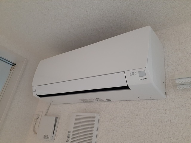 サルーテ その他4