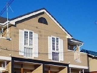 プルメリア その他5