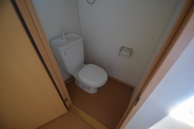 ロック・フィールド水引 その他2