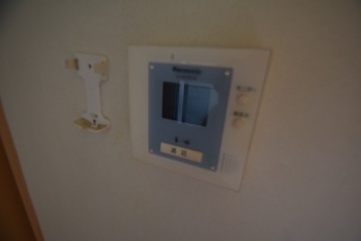 ロック・フィールド水引 その他4