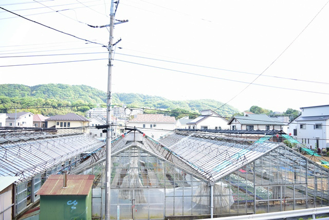 サンパレス湘南Ⅲ その他1