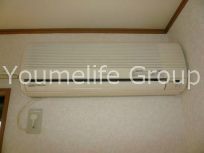 スカイ・フォレスト その他4