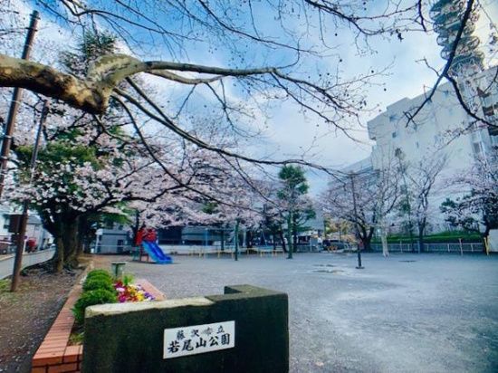 若尾山ハイツ その他外観2