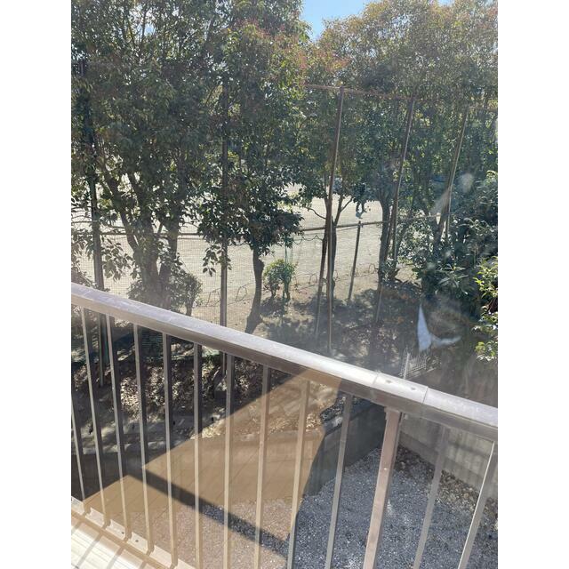 メゾン湘南 ベランダ