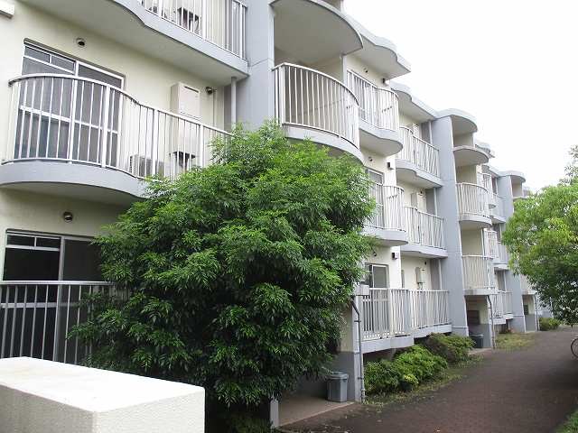 サンライズパレス 0301号室 外観