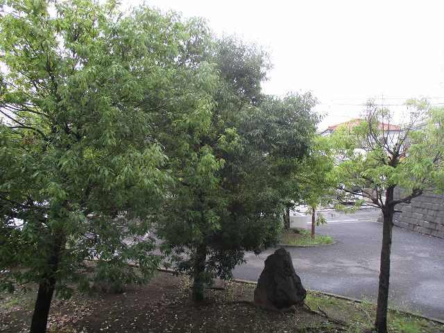 サンライズパレス その他3