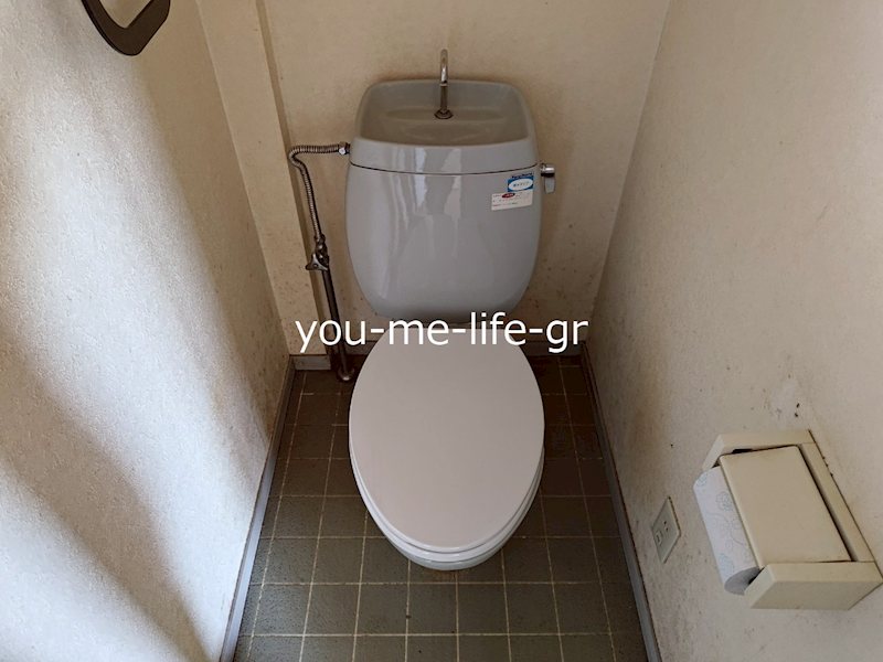 プラザ樹苑A  その他1