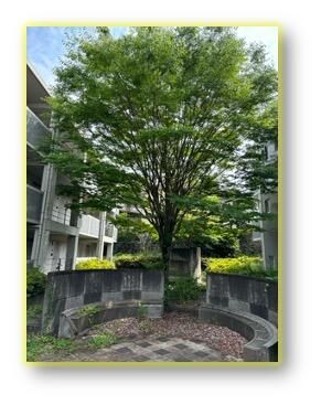 ヒルクレストアツギ その他3