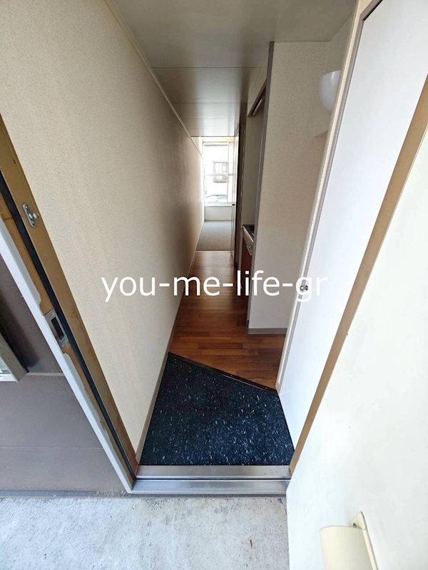 エルバージュ 玄関