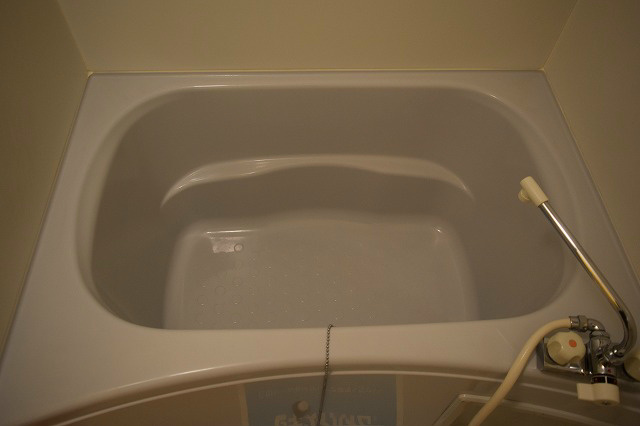 ラヴィアン・ローズ その他6