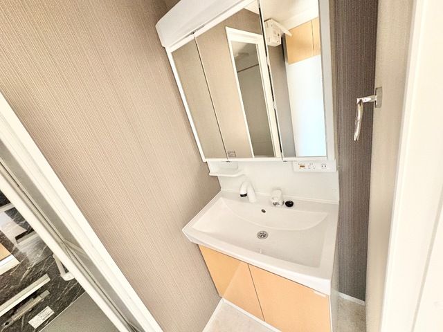 サン・サルーテ その他2