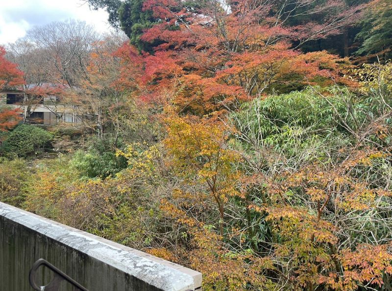 リブレ仙石原 その他5