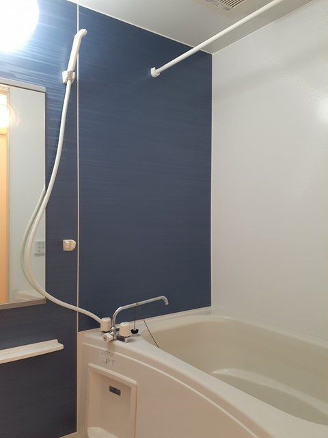 パールグレイスⅡ 風呂画像